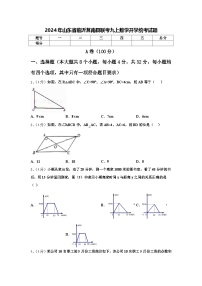 2024年山东省临沂莒南县联考九上数学开学统考试题【含答案】