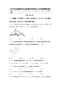 2024年山东省临沂市兰山区部分学校数学九上开学监测模拟试题【含答案】