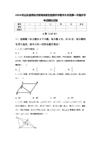 2024年山东省青岛市新海岸新区信阳中学数学九年级第一学期开学考试模拟试题【含答案】