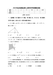 2024年山东省微山县九上数学开学检测模拟试题【含答案】