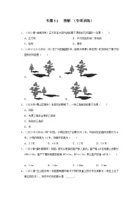 北师大版（2024）九年级上册1 投影巩固练习