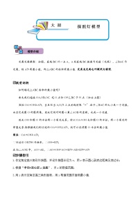 中考数学解题大招复习讲义(全国通用)模型30探照灯模型(原卷版+解析)