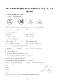 [数学]2024～2025学年湖南省郴州市永兴县树德初级中学八年级(上)入学试卷(有答案)