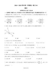 清华大学附属中学2024-2025学年九年级上学期9月月考数学试题（原卷版+解析版）