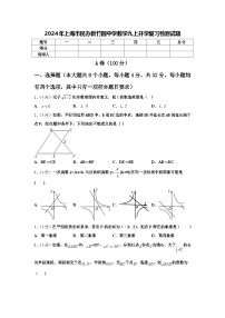 2024年上海市民办新竹园中学数学九上开学复习检测试题【含答案】