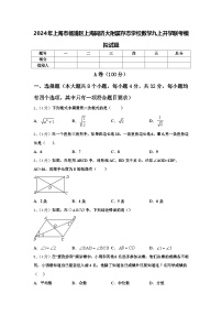 2024年上海市杨浦区上海同济大附属存志学校数学九上开学联考模拟试题【含答案】