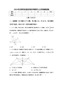 2024年天津市河北区扶轮中学数学九上开学调研试题【含答案】