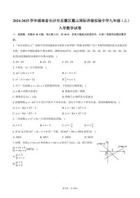 [数学]2024～2025学年湖南省长沙市岳麓区麓山国际洋湖实验中学九年级(上)入学试卷(有详解)