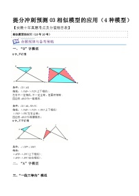 中考数学考前必刷题型突破方案(安徽专版)提分冲刺预测03相似模型的应用(4种模型)特训(原卷版+解析)