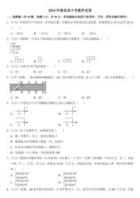 2024年湖北省中考数学试卷二套合卷附参考答案