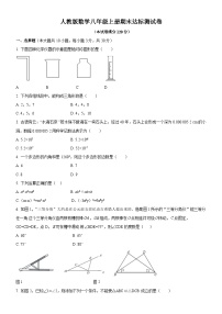 2024--2025学年人教版八年级数学上册期末达标测试卷