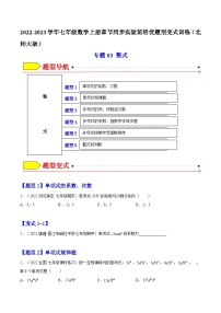 北师大版（2024）七年级上册3.3 整式课后测评