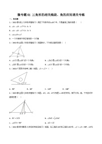 人教版八年级数学上册重难考点微专题01三角形的相关线段、角的应用通关专练特训(原卷版+解析)