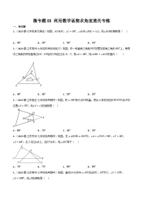 人教版八年级数学上册重难考点微专题03利用数学思想求角度通关专练特训(原卷版+解析)