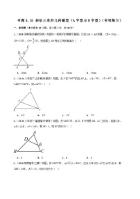 北师大版（2024）九年级上册5 相似三角形判定定理的证明同步练习题