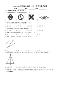 广东省江门市新会区华侨中学2024-2025学年八年级上学期9月月考数学试题(无答案)