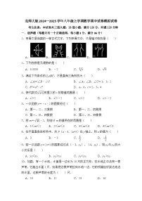 _2024—2025学年北师大版八年级上册数学期中试卷模拟试卷