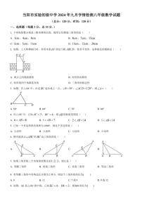 [数学]湖北省宜昌市当阳市实验中学2024～2025学年上学期9月八年级试题(有答案)