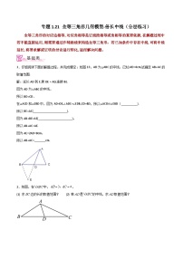 初中数学苏科版（2024）八年级上册第一章 全等三角形1.2 全等三角形同步测试题