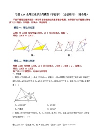 初中数学苏科版（2024）八年级上册第一章 全等三角形1.2 全等三角形课时练习