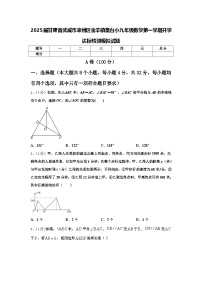 2025届甘肃省武威市凉州区金羊镇皇台小九年级数学第一学期开学达标检测模拟试题【含答案】