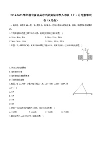 2024-2025学年湖北省宜昌市当阳实验中学八年级（上）月考数学试卷（9月份）(含解析）