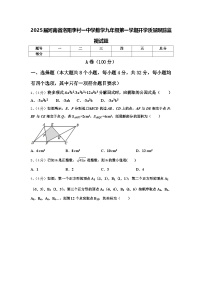 2025届河南省洛阳李村一中学数学九年级第一学期开学质量跟踪监视试题【含答案】