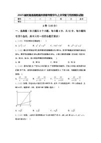 2025届河南省南阳南召县联考数学九上开学复习检测模拟试题【含答案】