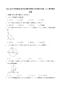 黑龙江省大庆市萨尔图区万宝学校2023-2024学年九年级上学期期中考试数学试卷