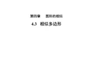 初中数学北师大版（2024）九年级上册3 相似多边形教学课件ppt