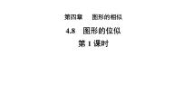 北师大版（2024）8 图形的位似教学ppt课件