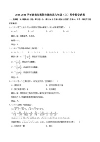 湖南省衡阳市衡南县2024届九年级上学期期中教学质量检测数学试卷(含解析)