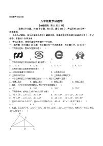 云南省昭通市永善县2023-2024学年八年级上学期期中考试数学试卷(含答案)