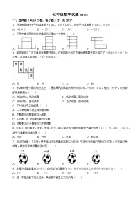 山东省菏泽市菏泽经济技术开发区2024-2025学年七年级上学期10月月考数学试题(无答案)