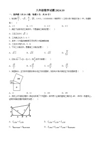 山东省菏泽市菏泽经济技术开发区2024-2025学年八年级上学期10月月考数学试题(无答案)