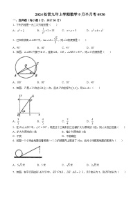 黑龙江省哈尔滨市松雷中学2024-2025学年 九年级上学期数学9月半月考试题(无答案)