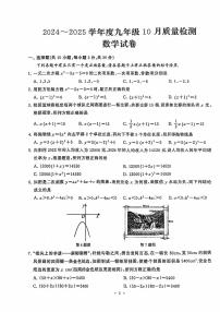 湖北省武汉市硚口区2024~2025学年九年级上学期10月质检数学试卷