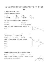 2023-2024学年四川省广安市广安区友实学校八年级（下）期中数学试卷-普通用卷