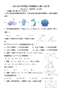 山东省聊城市阳谷县实验中学2024-2025学年八年级上学期第一次月考数学试卷