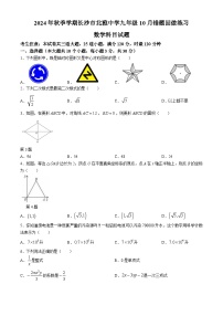 湖南省长沙市雅礼教育集团联考2024-2025学年九年级上学期10月月考数学试题(无答案)