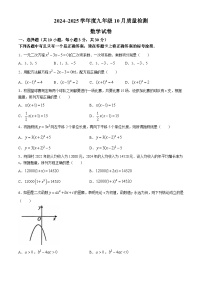 湖北省武汉市硚口区2024~2025学年九年级上学期10月质检数学试卷(无答案)