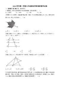 浙江省宁波市兴宁中学2024-2025学年九年级上学期9月月考数学试卷(无答案)