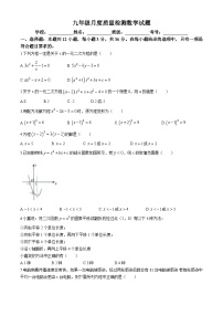 山东省临沂第六中学2024-2025学年九年级数学上学期10月月考试卷(无答案)