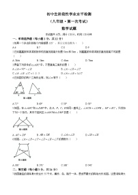 吉林省松原市前郭一中、前郭三中2024—2025学年 初中生阶段性学业水平检测八年级上学期第一次考试    数学试题