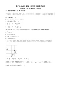 河南省郑州市二七区京广实验中学2024-2025学年上学期八年级数学第一次月考试卷(无答案)