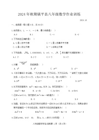 河南省南阳市镇平县2024-2025学年八年级上学期10月月考数学试题