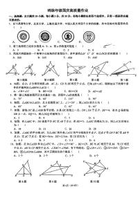 广东省珠海市香洲区凤凰中学2024-2025学年八年级上学期10月月考数学试题