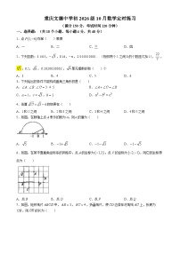 重庆文德实验中学2024-2025学年八年级上学期数学10月月考试题(无答案)