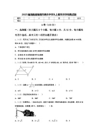 2025届湖南省衡阳市逸夫中学九上数学开学经典试题【含答案】