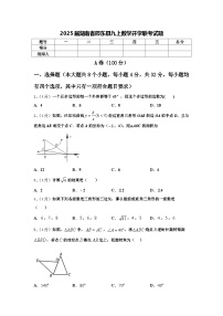 2025届湖南省邵东县九上数学开学联考试题【含答案】